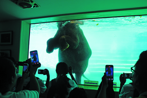 Aquarium visit